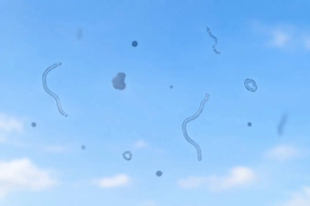 Floaters